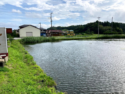 前堰（茂原渋谷）