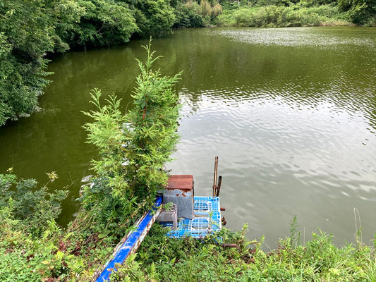 新堰（茂原渋谷）