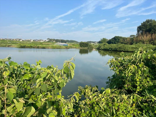 壺沢池（出水）