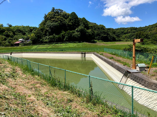 八幡神社東池（岡田）