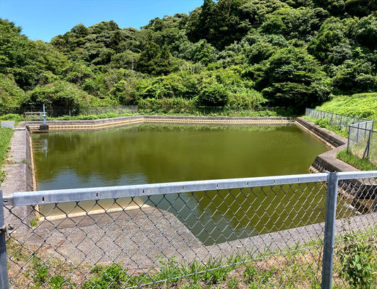 八幡神社南池（岡田）