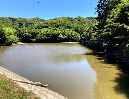 大谷津堰（沼）