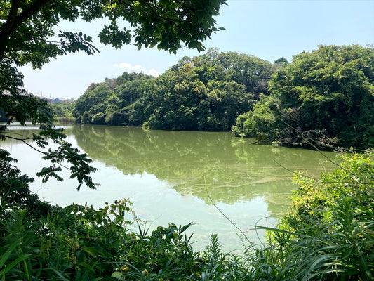 新関谷池・大関谷池