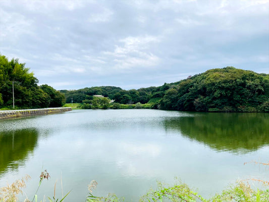 下司免池(ぎしめんいけ)