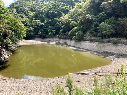 野の倉溜池