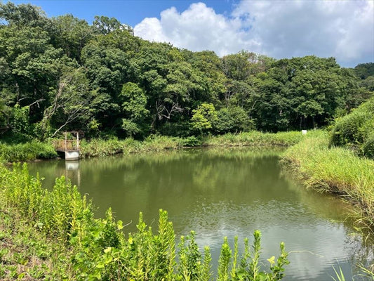 西谷池（志染町）