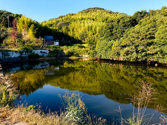 野上下池