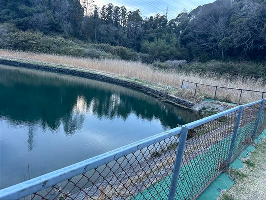 田川の野池（上）