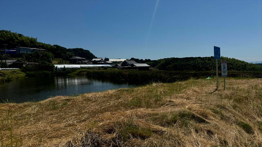 下池（都志米山）