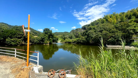 川池（安住寺）