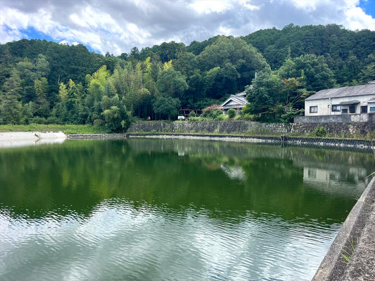大池（猪名川上野）