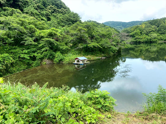 滝谷池(大垪和東 )