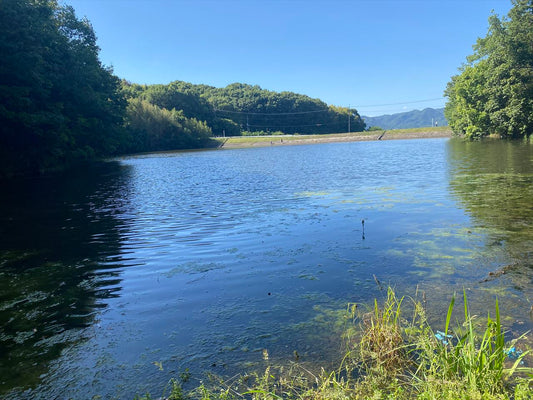 山田池（総社市西郡）