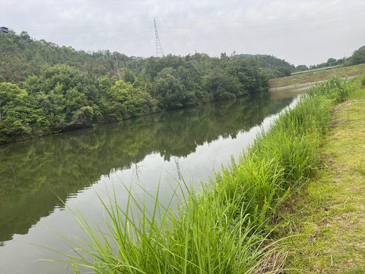 下ノ池（西坂）