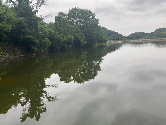 中ノ池（西坂）