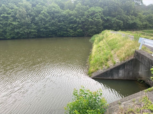 行田池（北区杉谷）