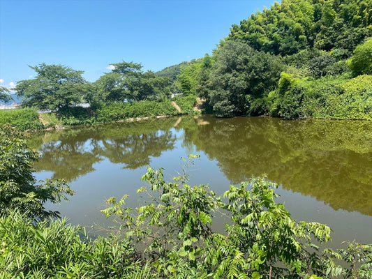 大池（中区沢田）