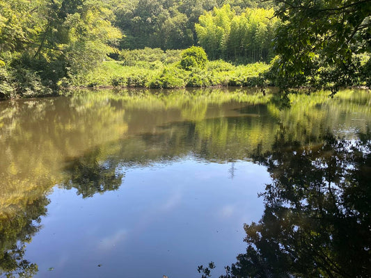 菱池（中区沢田）