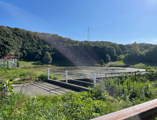 中池(三木福井)