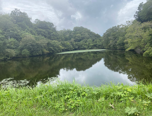 中池（和気町小坂）