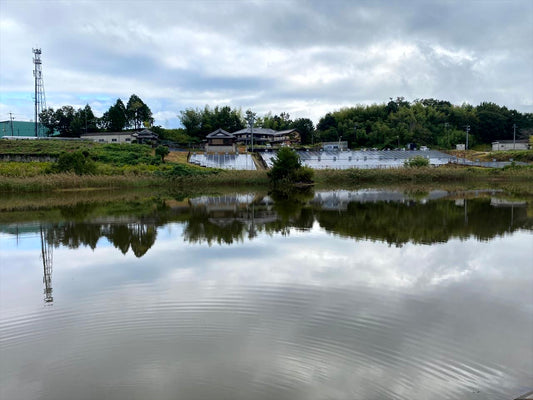 弁天池（下友生）