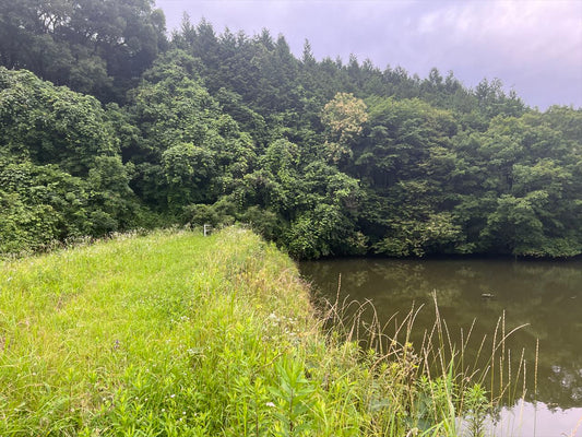 沢ノ池（沢ノ谷）