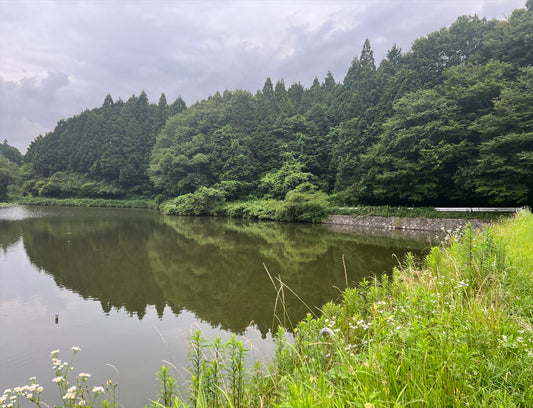 沢ノ池（甲賀町神保）