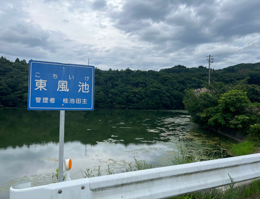 東風池