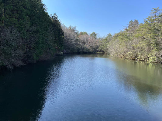 二ツ池（友田町）