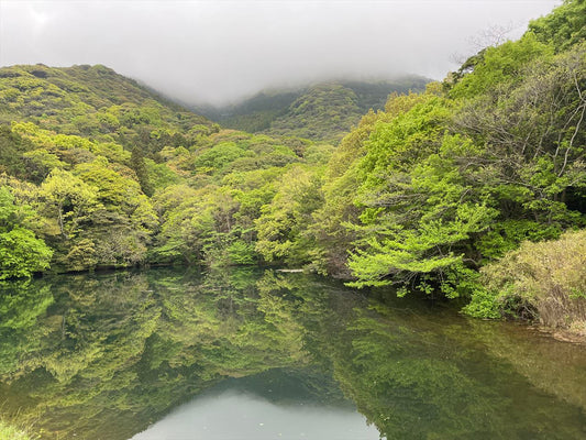 新池（小倉南区）