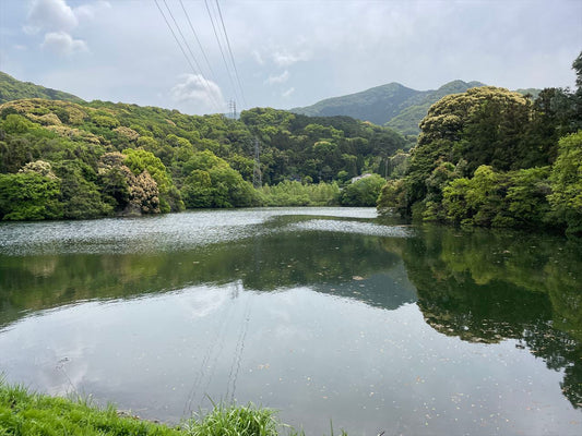 通り谷上池