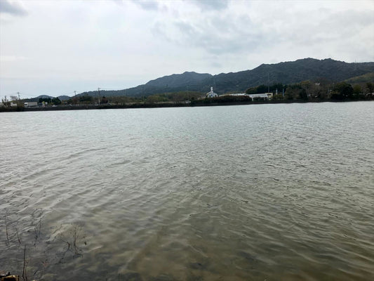 長沢池