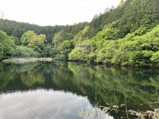 松川池（太宰府）