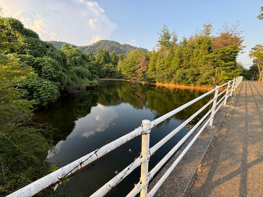 大正池（黒瀬檜原）