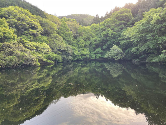 下柳坂池（須恵町）