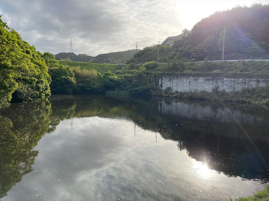 尾黒池（須恵町）