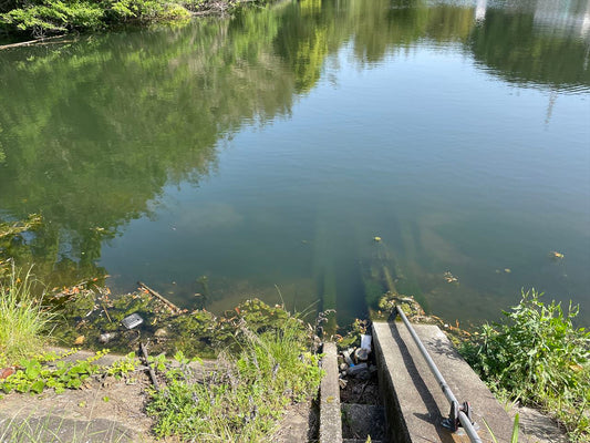 白石池（須恵町）