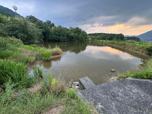 新池（黒瀬菅田）