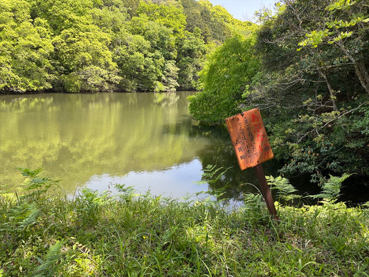 砥石ヶ浦小池