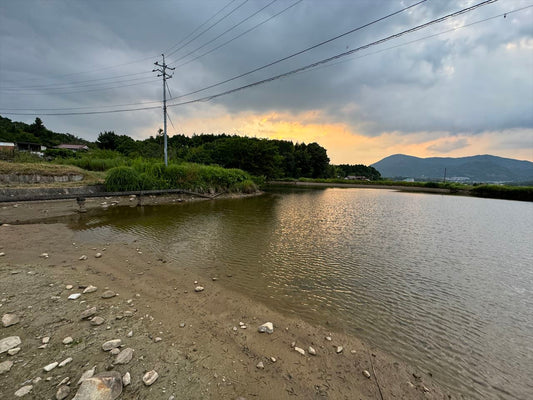 伍池（黒瀬菅田）