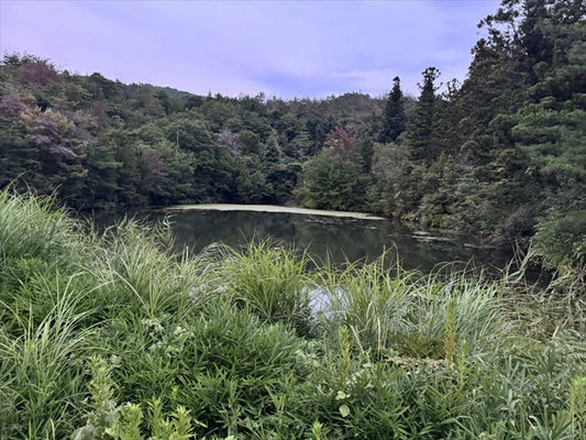 重光池