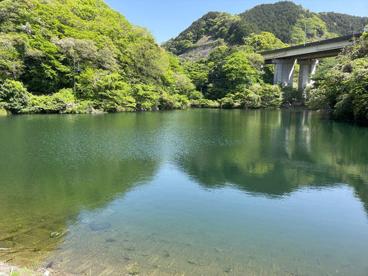 新溜池（本木）