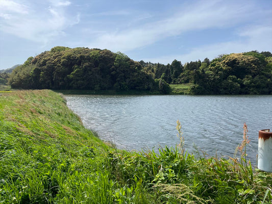 鐘搗田池