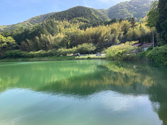 山神池（岡垣町）