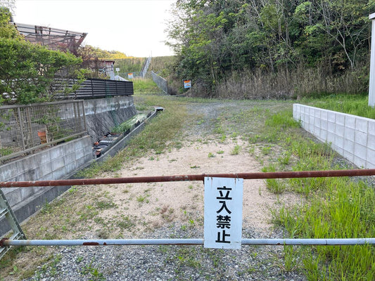 迫の田池