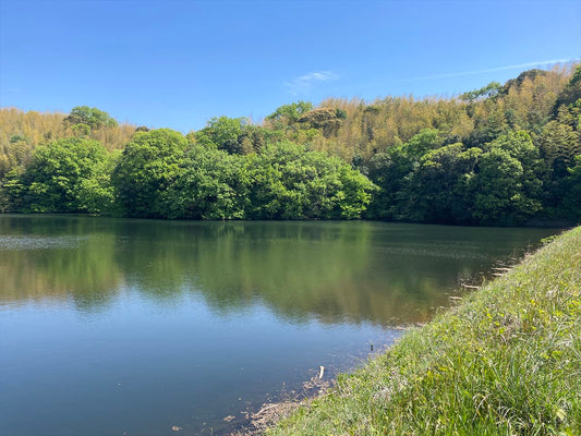 上畑堤（松屋上町）
