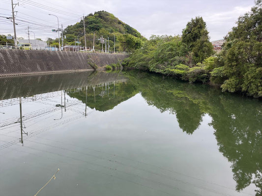 鳥越池
