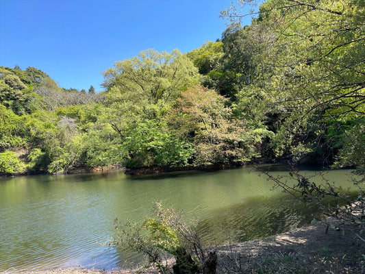 竹谷池（伊賀）