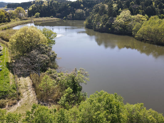 奥中山池（柘植）