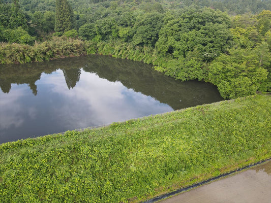 新池（今奥山）